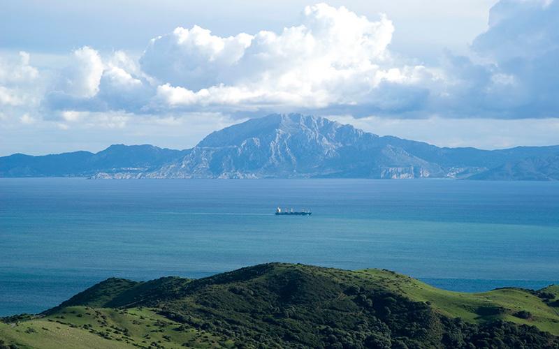 歐洲移民增多原因分析：多因素交織的復雜圖景