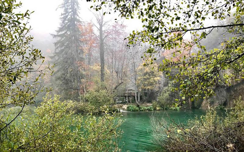 歐洲的中國移民畫家有誰？有哪些影響力？