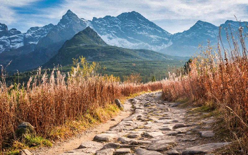 中年怎樣才能移民歐洲呢？詳細(xì)指南與實(shí)用建議