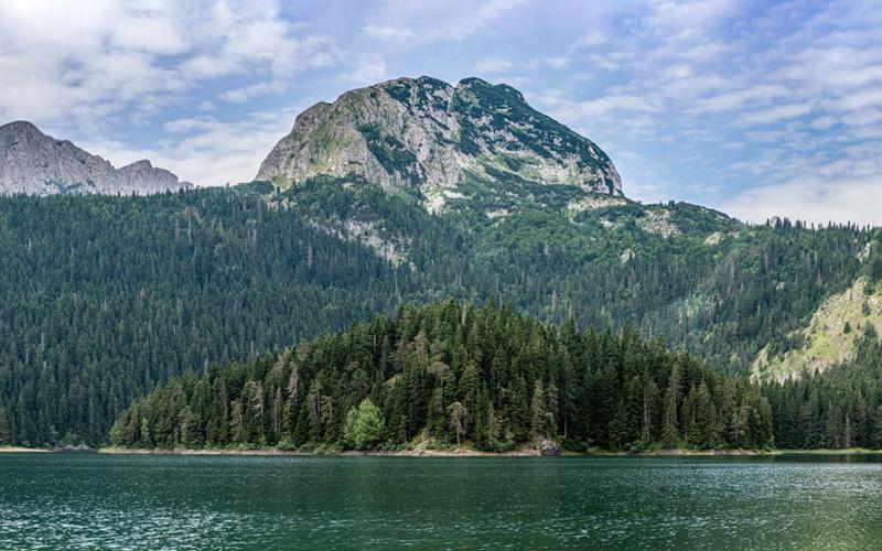 夢見帶兒子移民歐洲了啥意思？解夢指南與心理解析