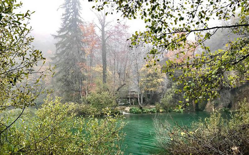 歐洲移民局申請(qǐng)延期多久？詳細(xì)了解申請(qǐng)延期的相關(guān)程序與要求